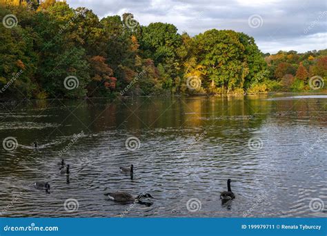 Hudson River In Upstate New York In Autumn Colors Vibrant Colorful