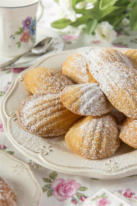French Madeleines Stock Image Image Of Sweet Pastry 50832639