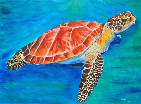 Sea Turtlesea Turtle Paintingunderwaterabstractcoral