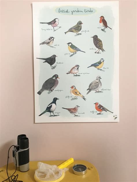 British Garden Birds Identification Poster And Checklist Etsy