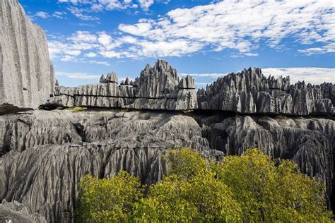 Worlds Largest Stone Forest Madagascar
