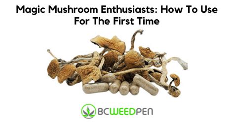 Magic Mushroom Enthusiasts How To Use For The First Time