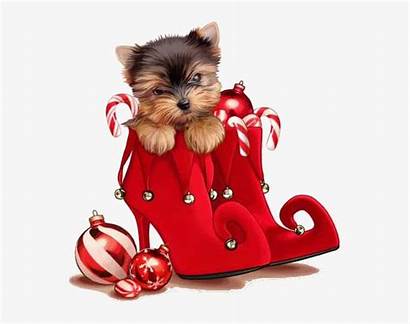 Merry Dog Yorkie Clip Dogs Pngkit