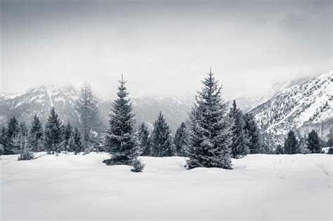 @samantha cristoforetti che effetto fanno le dolomiti da lassù? Bello Tramonto Di Inverno In Val Di Fassa, Dolomia, Italia Fotografia Stock - Immagine di ...