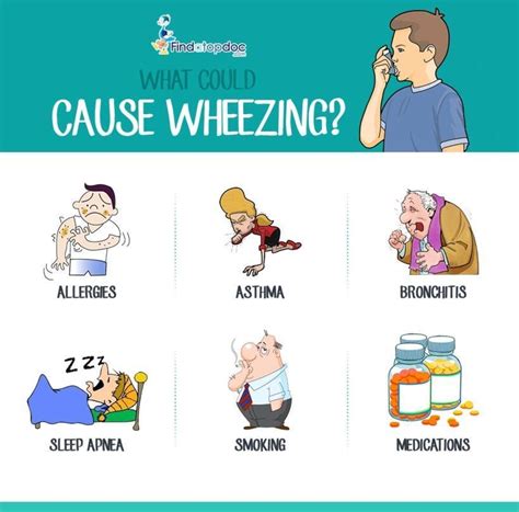 What Could Cause Wheezing Infographic