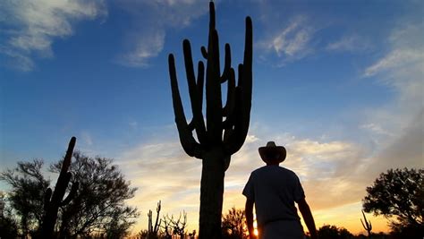A cartoon cactus wearing a cowboy hat vectors by mhprice 2/1,335. Cowboy Wearing Hat, Silhouetted At Sunset, Walks Between ...