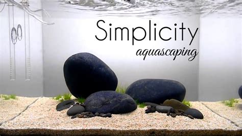 Make sure the structure is sturdy and won't tip or fall. Aquascaping GAME OF RIVER STONE (SIMPLICITY) - YouTube