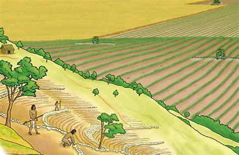 Historia De La Agricultura Parte 2 10 Universidad Agrícola