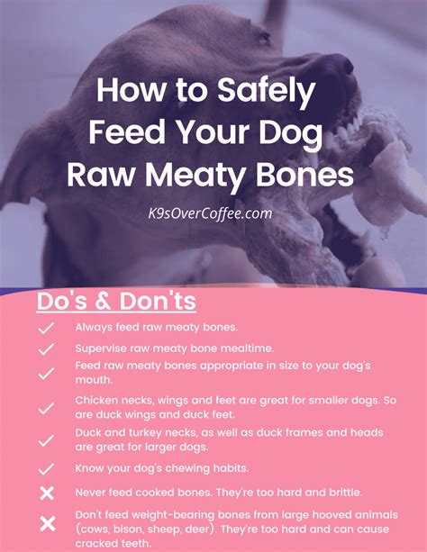 How To Safely Feed Your Dog Raw Meaty Bones K9sovercoffee Raw Dog Food