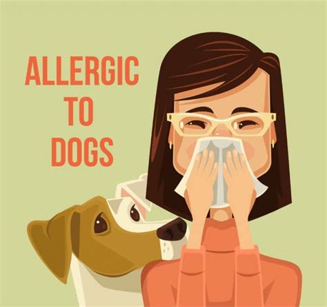 20 Best Dogs For Allergies Dog Breeds List
