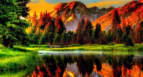 Nature Landscape Mountain Water Forest