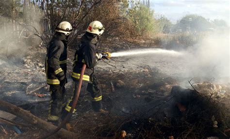İstanbul un orman yangını bilançosu Son 10 yılın en fazla alanı yandı