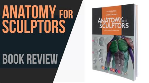 Anatomy For Sculptors Reference Book Review Learn 3d Now