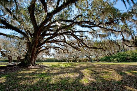 19 Most Beautiful Places To Visit In Louisiana The Crazy Tourist