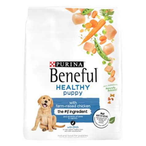 Purina Beneful Healthy Puppy With Real Chicken Dry Dog Food 14 Lb