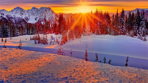 Washington Usa Winter Berge Bäume Schnee Sonnenuntergang