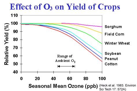Ozone Effects On Plants Usda Ars