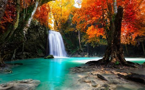Colorful Trees Waterfall Nature Tropical Forest Fall