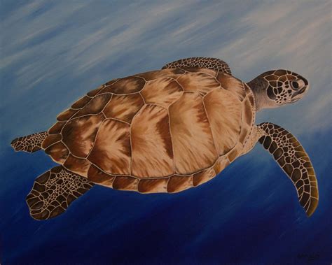 Original Oil Painting Sea Turtle 24 X 30 Original Oil Painting