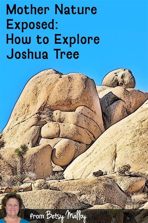 Plan Your Ultimate Trip To Joshua Tree National Park Joshua Tree