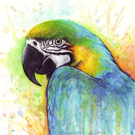 Colorful Bird Watercolor Macaw Parrot By Olechka01 On Deviantart