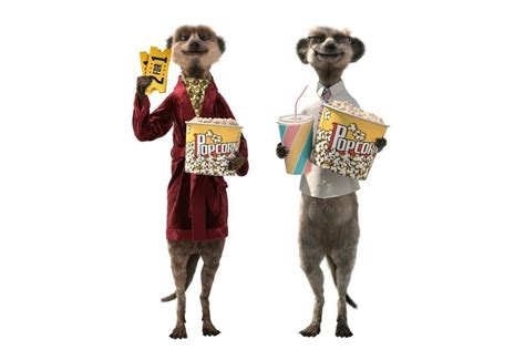 Ctm Toycollection Compare The Market Meerkats Free 45 Off