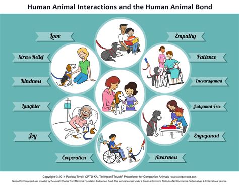 Animal Assisted Interactions And The Human Animal Bond