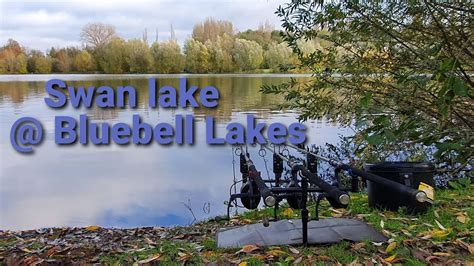 200 Winter Carp Fishing Bluebell Lakes Swan Lake Youtube