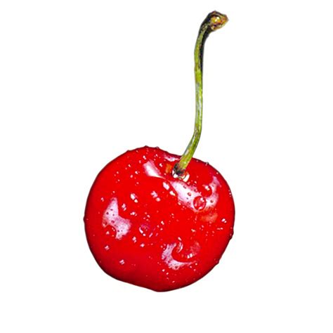 Shiny Cherry Transparent Background Clip Art Library