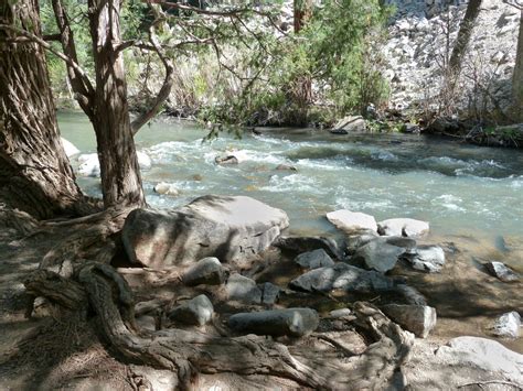 Fotos Gratis Paisaje árbol Naturaleza Bosque Rock Arroyo