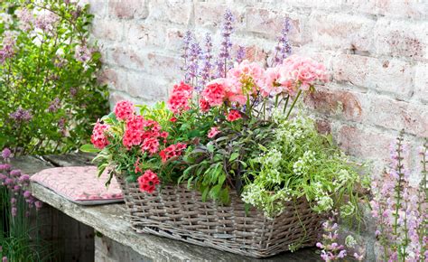 Check spelling or type a new query. 7 tolle Pflanzideen für Blumenkästen und Kübel in 2020 ...