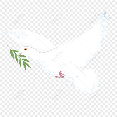 Peace Dove With Olive Branch Images Hd Pictures For Free Vectors