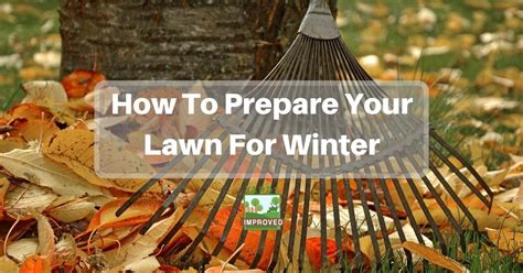 How To Prepare Your Lawn For Winter Yards Improved