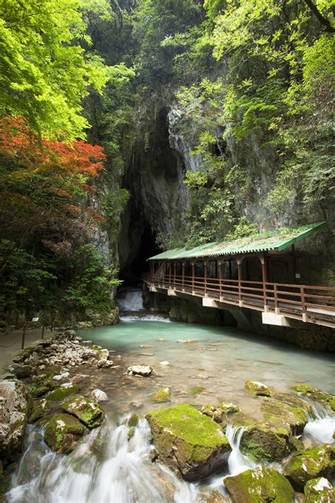 Special Natural Monument Akiyoshido Akiyoshidai Official Homepage