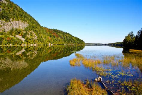 Fishing maps, lake maps, onshore and offshore charts representing the state of maine. 12 gorgeous views you'll only see in Maine's Acadia ...