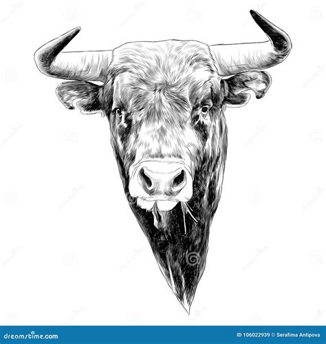 Bull Sketch Vector Graphics Stock Vector Illustration Of Design