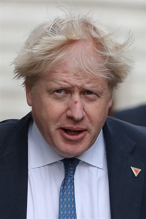 Born 19 june 1964) is a british politician and writer who has been prime minister of the united kingdom and leader of the conservative party since july 2019. La crinière jaune paille de Boris Johnson, une marque ...