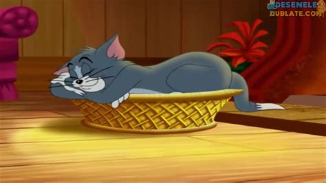 Povești Cu Tom și Jerry Sezonul 1 Episodul 1 Dublat în Română Desene Animate Dublate Si