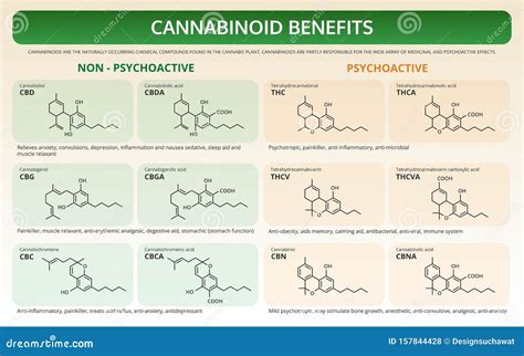 Cannabinoid Benefits Horizontal Textbook Infographic Stock Illustration