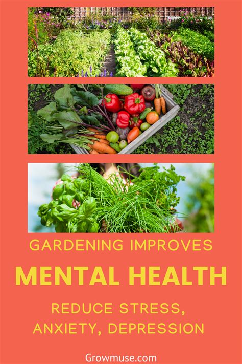 How To Get Rid Of Stress Gardening As Therapy For More Happiness