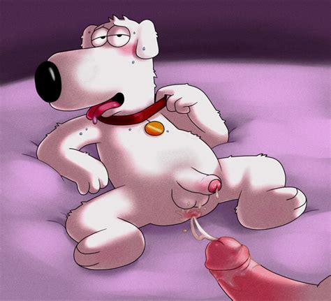 Rule 34 After Sex Anal Anus Balls Blush Brian Griffin