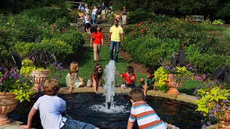 A Guide To Morris Arboretum And Gardens — Visit Philadelphia