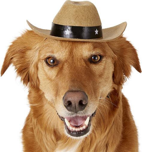 Rubies Costume Company Brown Cowboy Hat Dog And Cat Costume