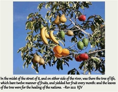 Of it, and the leaves of the tree were for the healing of the nations ps 1:3 and he shall be like a tree (of life) planted by the rivers of (life) water, that bringeth forth his (12) fruit in his season; Pray4Zion is a South African Christian organization ...