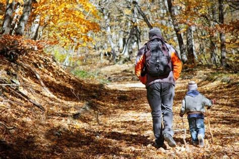 Amazing Outdoor Smoky Mountain Activities For The Fall Season