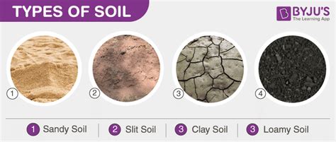 Types Of Soil Sandy Soil Clay Soil Silt Soil And Loamy Soil