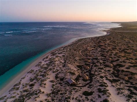 Everything You Need To Know About Visiting Ningaloo Reef Travel Insider