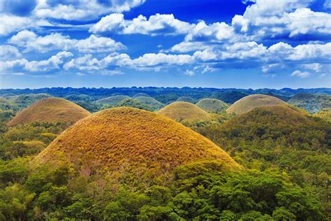Guided Bohol Countryside And Panglao Island Tour With Buf