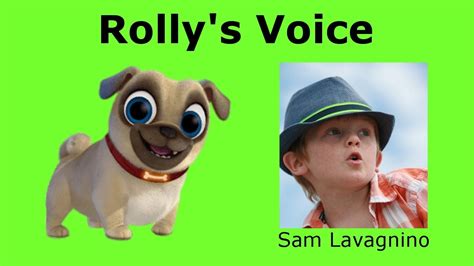 Puppy Dog Pals Characters Real Voices 2019 Rolly Bingo Bob Hissy Arf