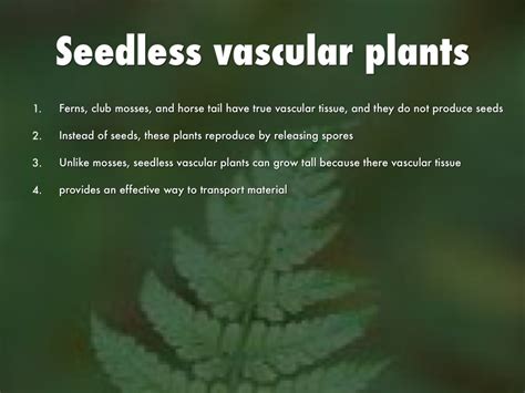 We did not find results for: Plants by Ryan Smallwood
